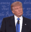 IMG_6311.gif