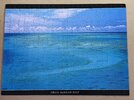 IMG_7001.jpeg