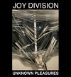 JOY DIVISION.jpg