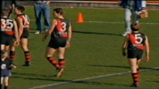 Carlton v Essendon - AFL Round 22, 1995 59-45 screenshot.png