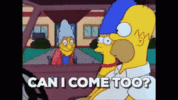 the-simpsons-homer-simpson (1).gif