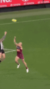 3c9f570f-0829-4018-b419-33fb1591178c.gif