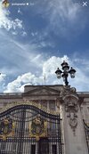 IMG_7701.jpeg