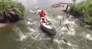 fish3.gif