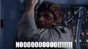 1758936143564.gif