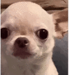 1759225777225.gif