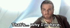 obi.gif