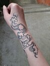 IMG_6476.jpeg
