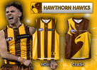 Hawthorn Puma copy.png