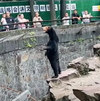fake bear.png