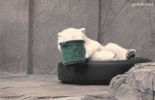 mommy-i-want-to-be-an-astronaut-when-i-grow-up.gif