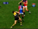 Rd 8 2002 - Richmond v West Coast Eagles 35-33 screenshot.png