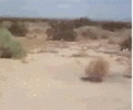 1760439341531.gif