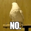 8865ce5a7391b847fd382a21d25403c1_w200.gif