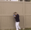 giphy-downsized (1).gif