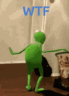 dance-wtf.gif