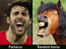 tracca.jpg