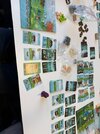 IMG_2147.jpeg