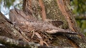 DSC_0565.JPG