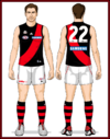 Essendon-Uniform2010Z-Back.png
