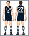 Carlton-Uniform1996CC-Back.png