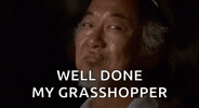 well-done-my-grasshopper-5q8xnwzkb3638mse.gif