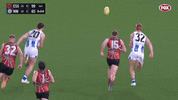 afl - bad miss3.gif