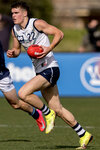 Riley Onley 2.jpg