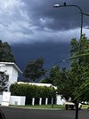 IMG_4689.jpeg