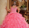 bovo in pink dress.PNG