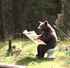 bear shitting in the woods.png