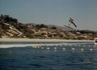 fonzie-jumping-over-the-shark-at-the-beach-on-happy-days.jpg