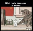 1763019418278.png