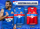 Western Bulldogs Puma copy.png