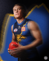 Reid WCE WA jumper50.png