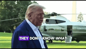 dont-know-what-the-f-theyre-doing-trump.gif