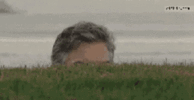 hiding-sneak-look-6osq4fwn4r1ezsyj.gif