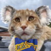 IMG_6344.png