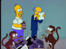 IMG_4052.gif
