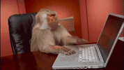 1764065197604.gif