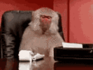 1764065250249.gif