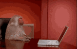 1764065281543.gif