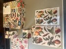 IMG_0527.jpeg