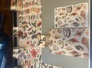 IMG_0535.jpeg