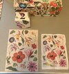 IMG_0519.jpeg