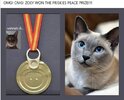 IMG_1655.jpeg