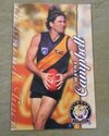 FF. WAYNE CAMPBELL, RICHMOND TIGERS, AFL GREETING CARDS ...
