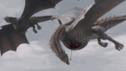 dragon+dies.gif