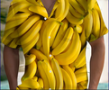 1765459721793.png