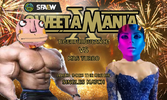 r20 turbo v mrs t.png